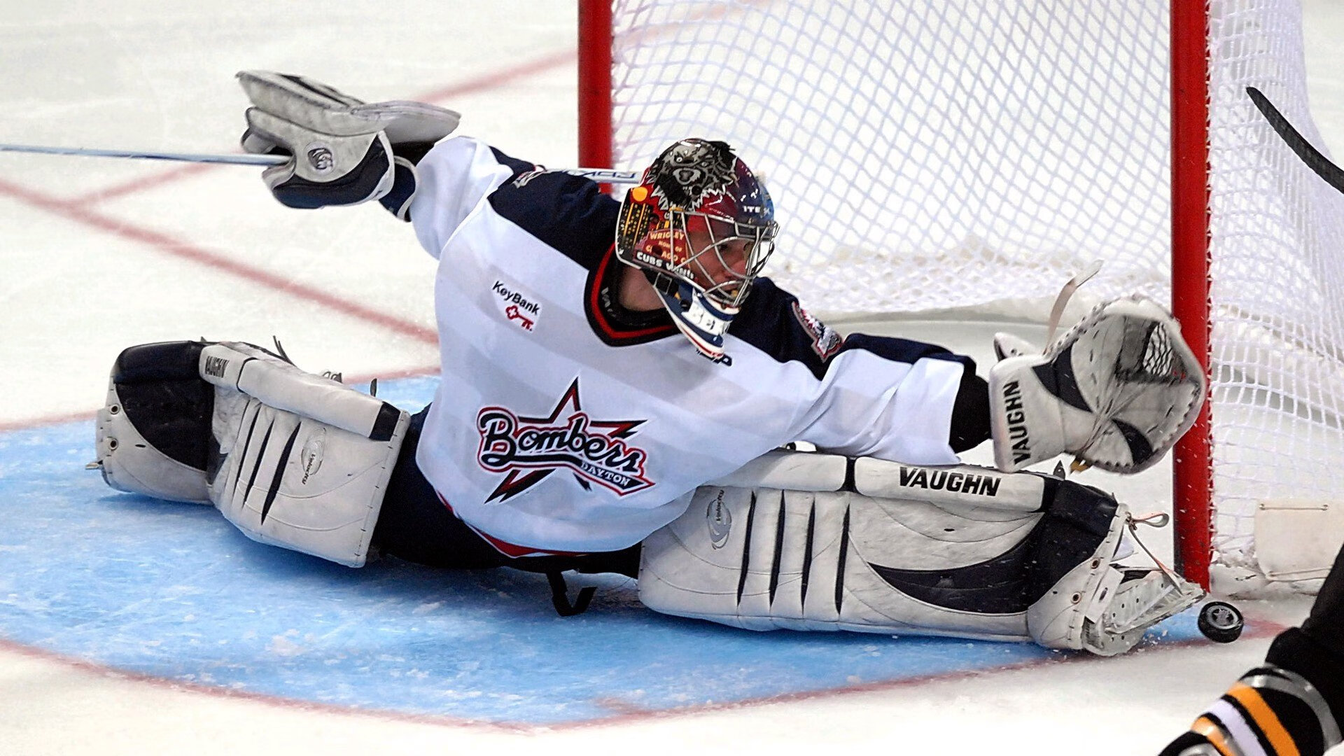 点滴回忆：从菜鸟到超级巨星的成长故事